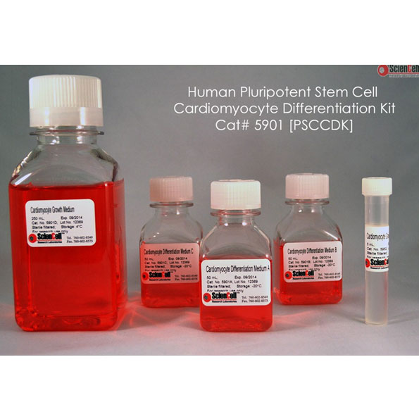 請(qǐng)?zhí)顚憳?biāo)題